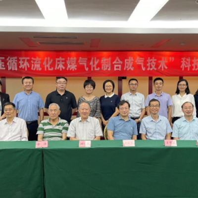 常压富氧循环流化床高碱煤气化制合成气技术通过鉴定